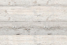 Obraz Čaro dreva 1828